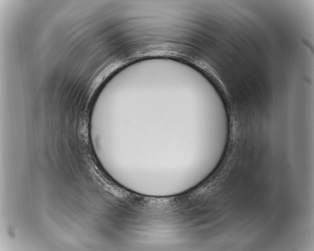 X0000101420882200807071028