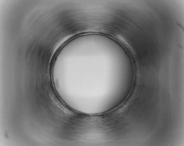 X0000101420884200807071028