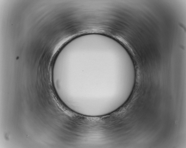 X0000101420886200807071028
