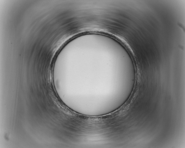 X0000101420887200807071028
