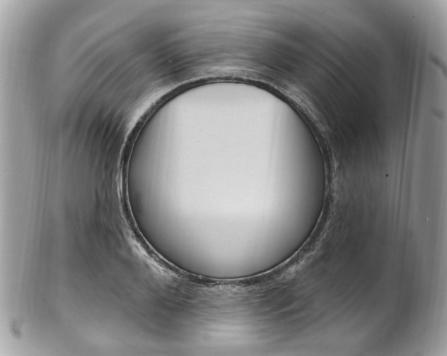 X0000101420888200807071028