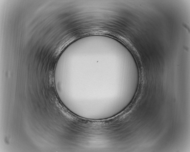 X0000101420889200807071028