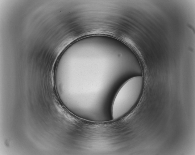 X0000101420892200807071028