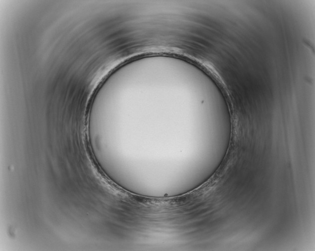 X0000101420895200807071028