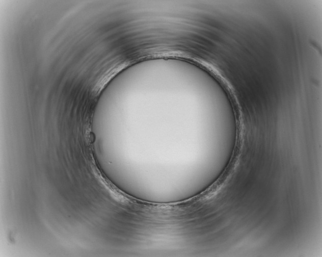 X0000101420897200807071028