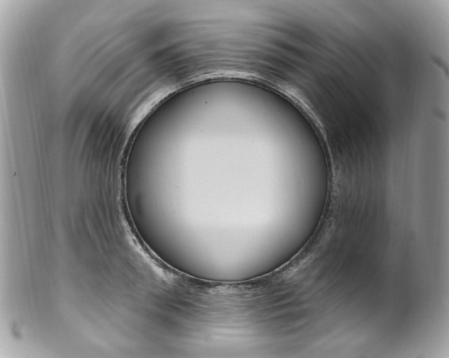 X0000101420898200807071028