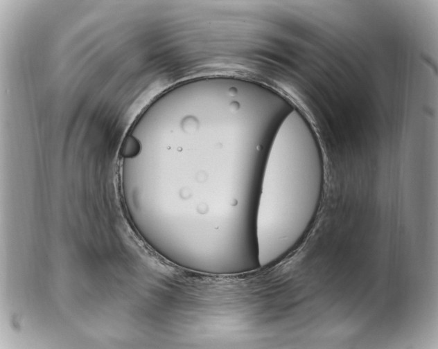X0000101420899200807071028