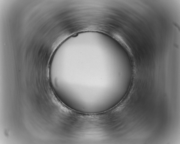 X0000101420900200807071028