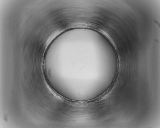 X0000101420901200807071028