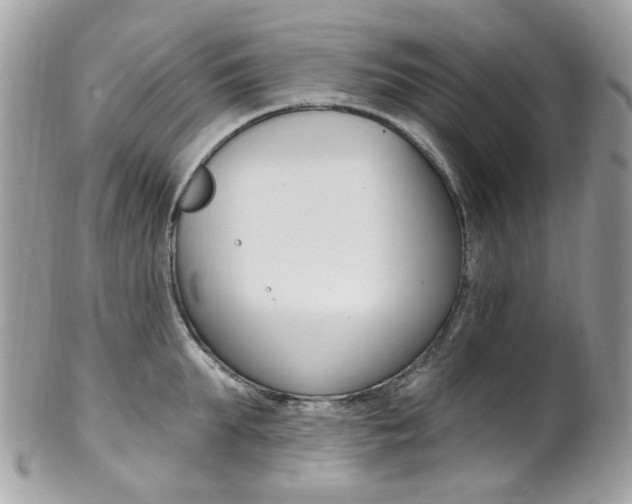 X0000101420903200807071028