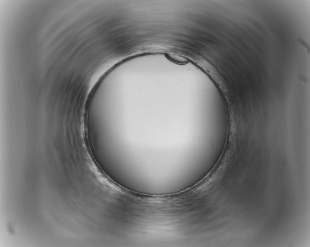 X0000101420904200807071028