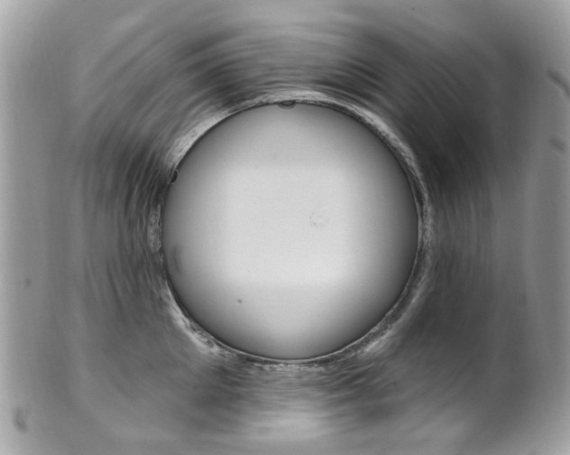 X0000101420905200807071028