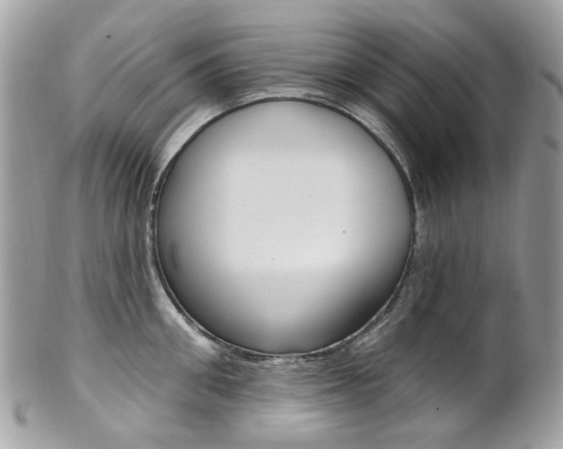 X0000101420906200807071028
