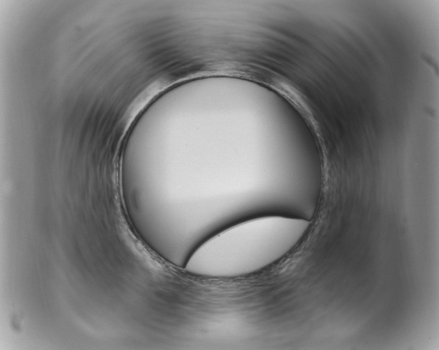 X0000101420907200807071028