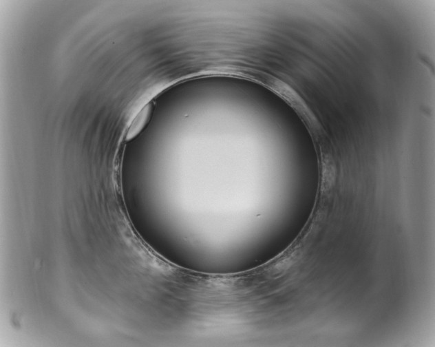 X0000101420908200807071028