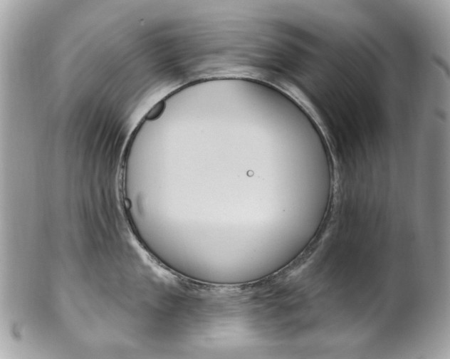X0000101420909200807071028