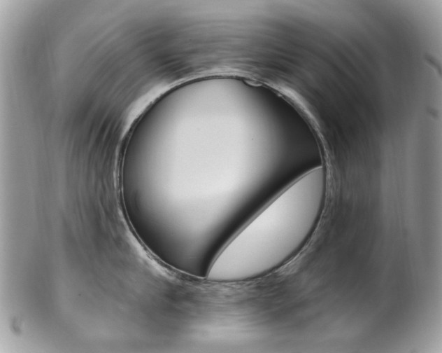 X0000101420910200807071028