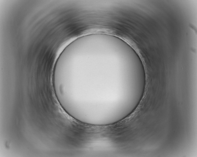 X0000101420912200807071028