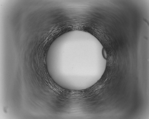 X0000101420913200807071027