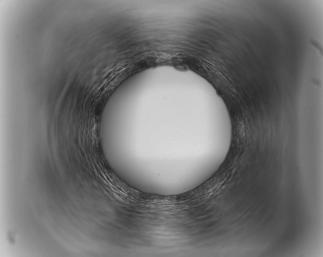 X0000101420914200807071027