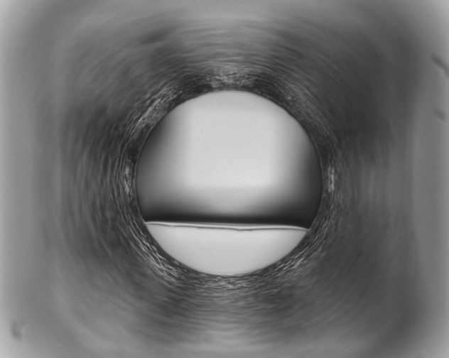 X0000101420915200807071027