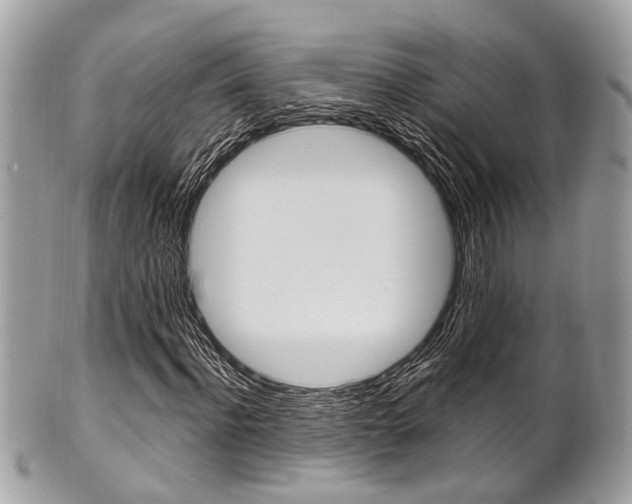 X0000101420916200807071027