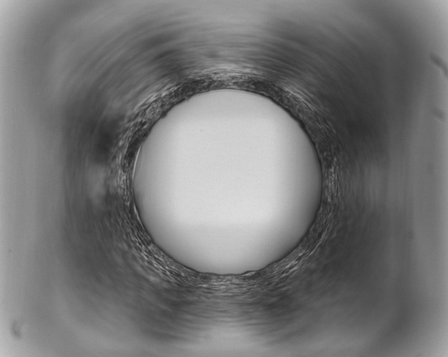 X0000101420917200807071027