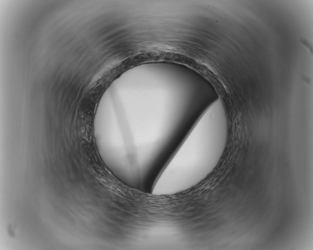 X0000101420919200807071027