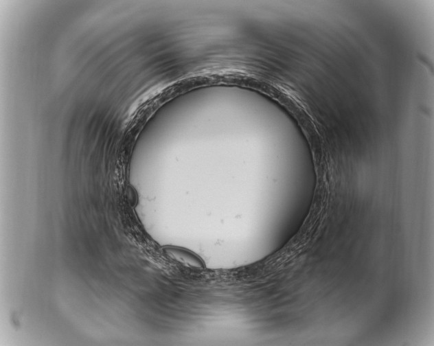 X0000101420920200807071027