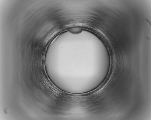 X0000101420921200807071027
