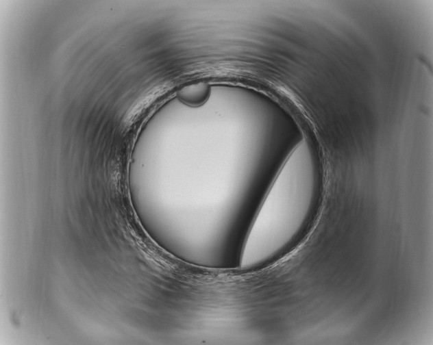 X0000101420922200807071027