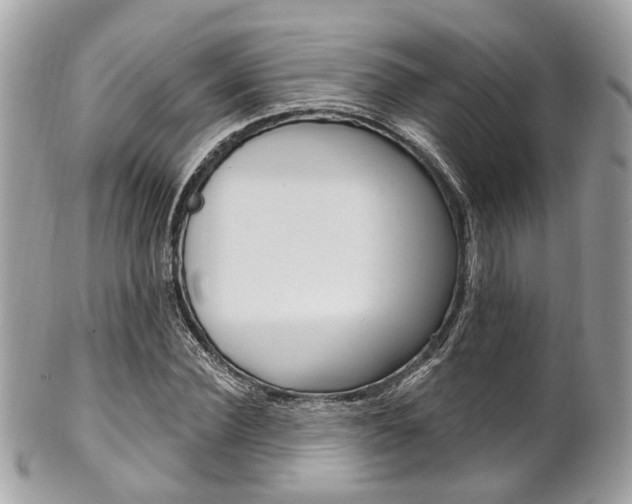 X0000101420924200807071027