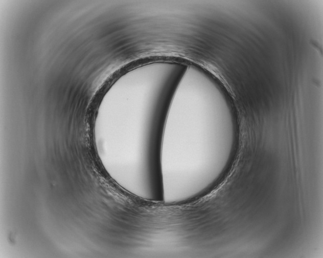 X0000101420926200807071027