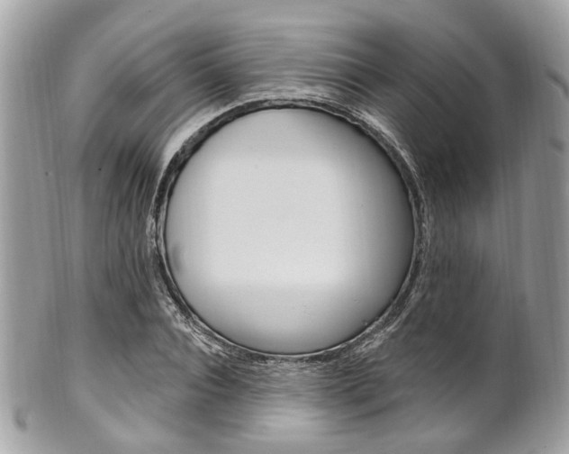 X0000101420928200807071027