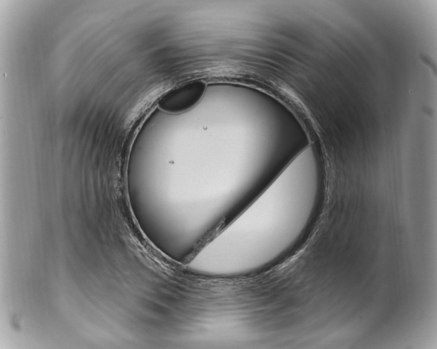X0000101420930200807071027