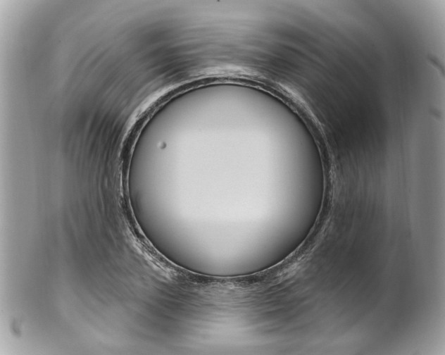 X0000101420931200807071027