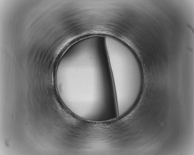X0000101420934200807071027