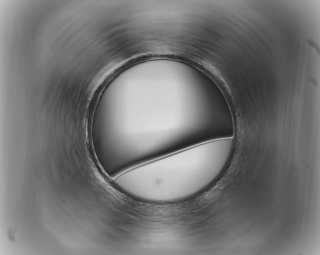 X0000101420935200807071027
