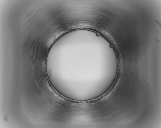 X0000101420937200807071027