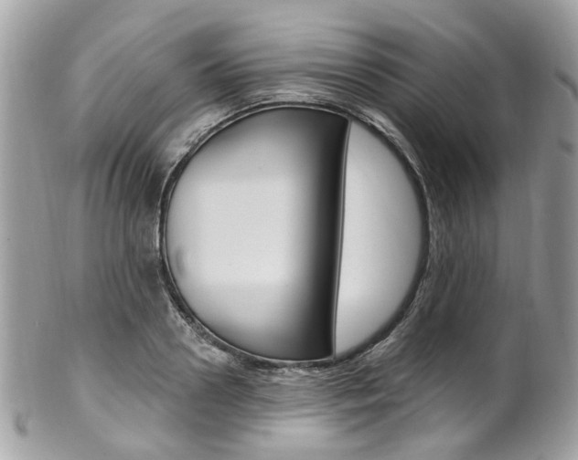 X0000101420938200807071027
