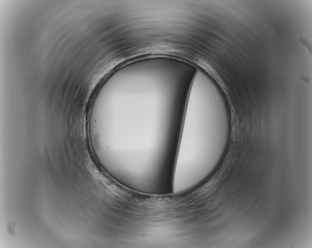 X0000101420939200807071027