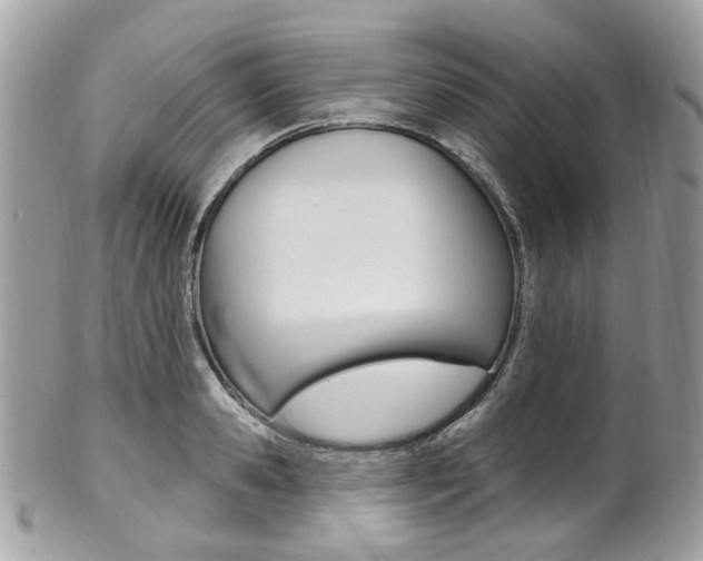X0000101420941200807071027