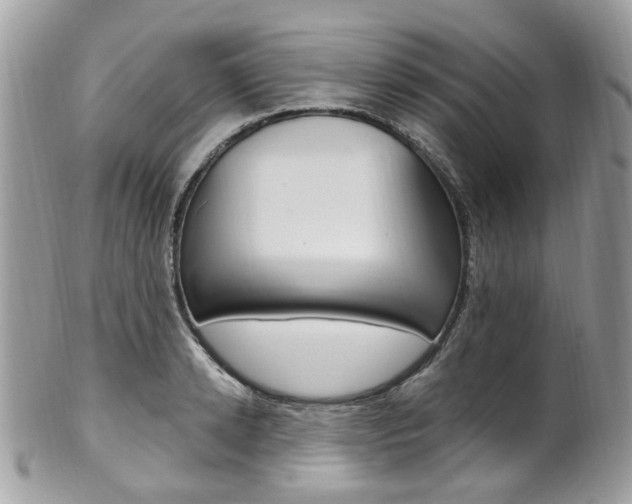 X0000101420942200807071027