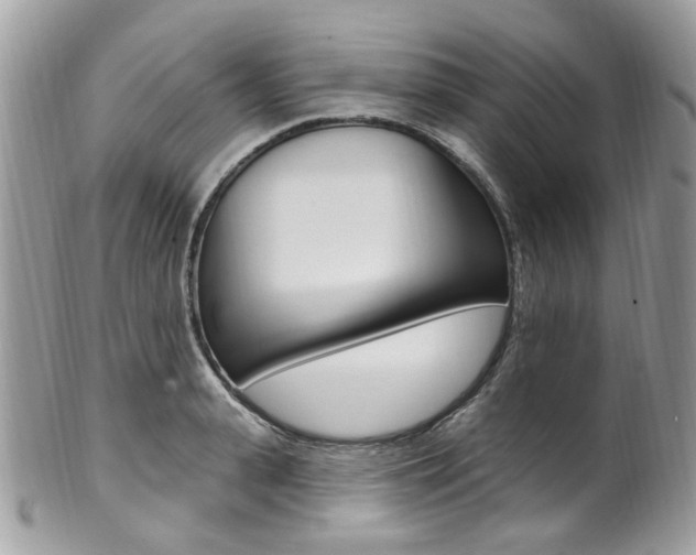 X0000101420943200807071028