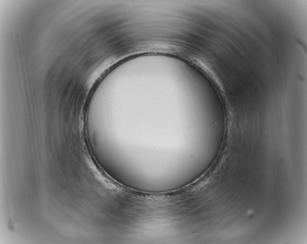 X0000101420944200807071028