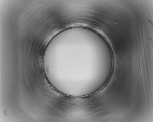 X0000101420945200807071028