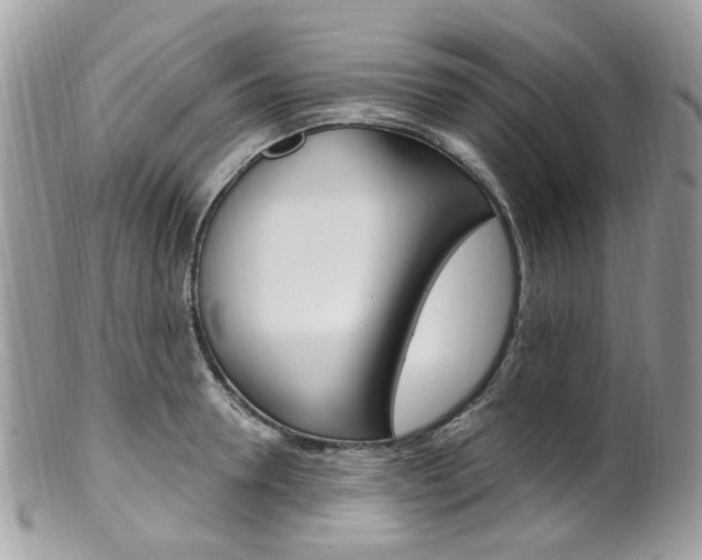 X0000101420946200807071028