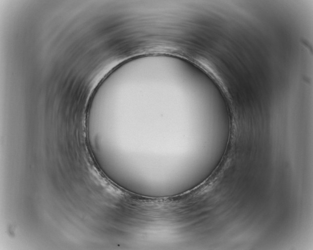 X0000101420948200807071028
