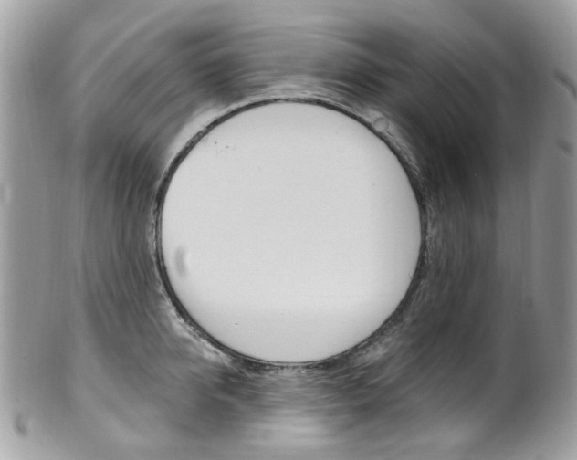 X0000101420950200807071028