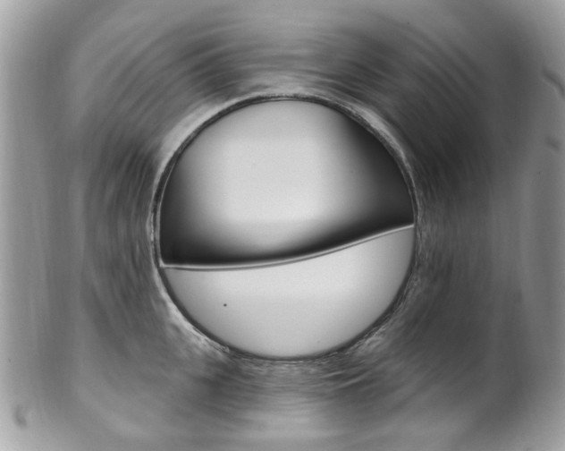 X0000101420951200807071028